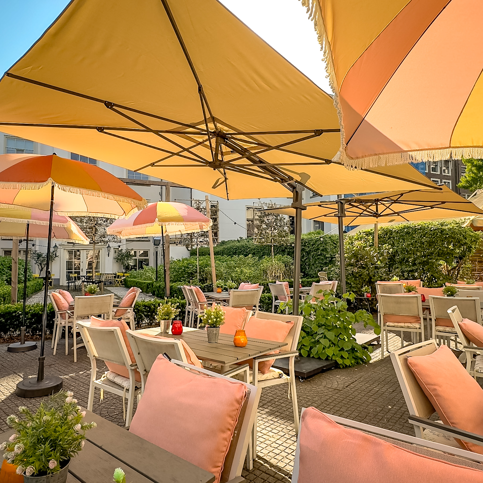 Terras Amsterdam